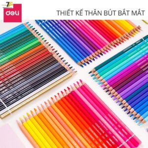 Bút chì màu gốc dầu cao cấp Deli - 6565 / 6566 / 6567/6568