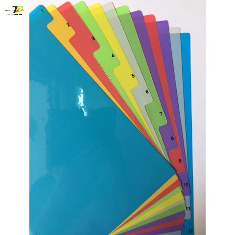 Bìa phân trang nhựa tùy chọn từ 10 cho đến 31 số màu / 24 chữ cái.